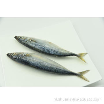 जमे हुए प्रशांत मैकेरल मछली 200-300g 300-500g मूल्य